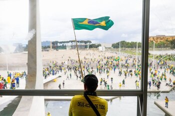 Un hombre agita la bandera