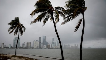 ¿Qué hacer en Miami cuando