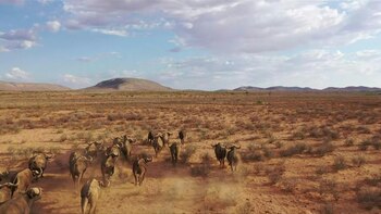 El cambio climático no fue