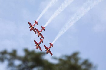 Los halcones reales de Jordania
