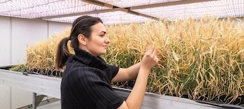 Revolucionando la producción alimentaria mediante