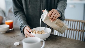 Los alimentos de origen vegetal