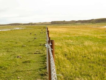 El área ambiental del gobierno