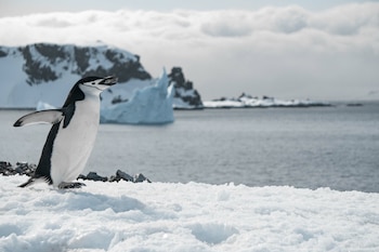 Encuentran ríos subglaciales en la