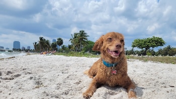 Las 6 mejores playas de