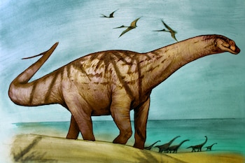 Una reconstrucción de Sebastián Rozadilla