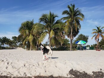 En algunas de las playas