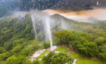 La lluvia ácida afecta ecosistemas