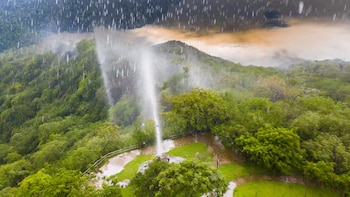 Lluvia ácida amenaza la biodiversidad: