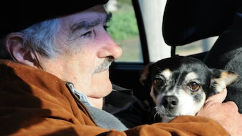 José Mujica, ex presidente de