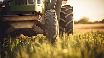 Las prácticas agrícolas intensivas, como