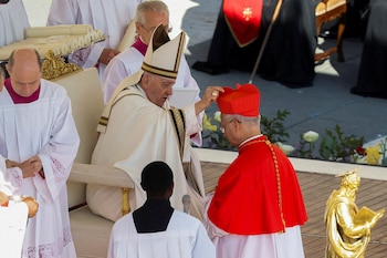 El Papa Francisco bendice al