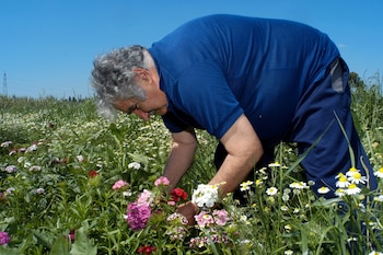 José Mujica (REUTERS/Pablo La Rosa/File