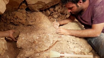 El científico Matteo Fabbri, del