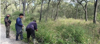 Los humedales temporarios, hábitat crítico