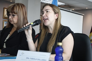 Fabiola Gallardo, expresidenta de la