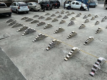 Los canes de la Policía