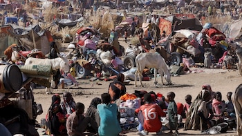 Crisis en Darfur: miles de