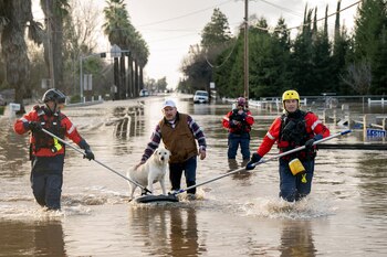 Trabajadores y voluntarios rescatan a