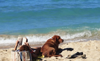 Algunas playas para perros de