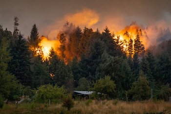 Se registraron incendios de quinta