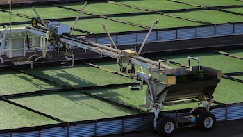 Una startup revoluciona la agricultura