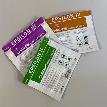 Épsilon, la última variante que