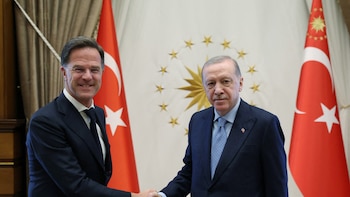 Turkey's President Erdogan meets with