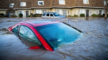 California, zona de desastre: hay