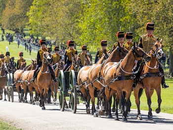 La King's Troop Royal Horse