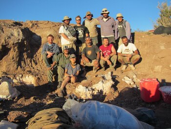El equipo de paleontológos que