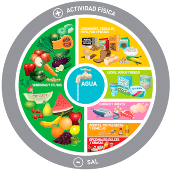 La guía para una alimentación